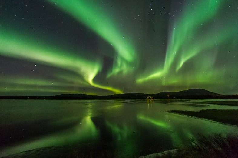 SCIENCE NEWSLETTER  30/10/2023